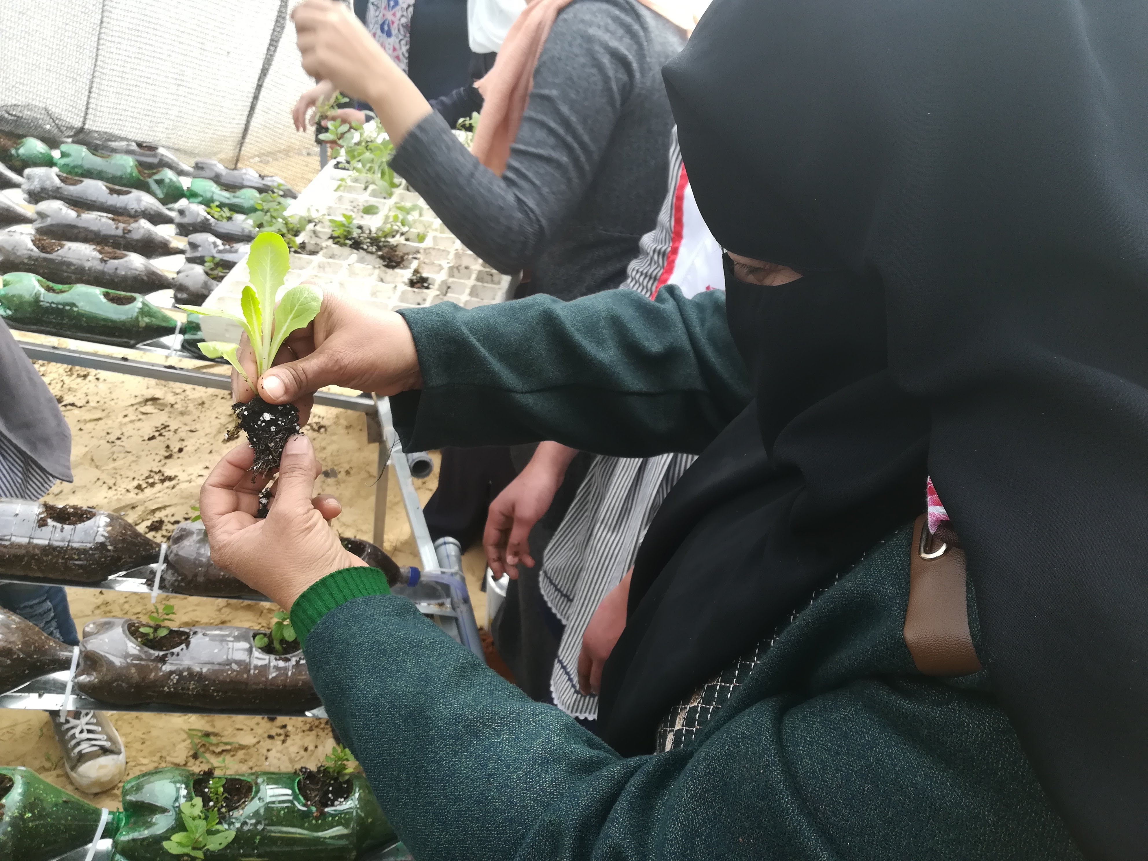 Overseas planting women